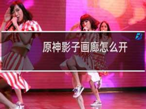 原神影子画廊怎么开