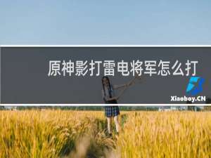 原神影打雷电将军怎么打