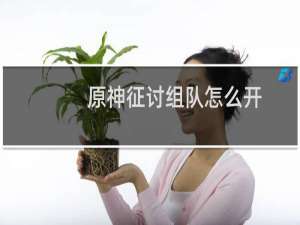 原神征讨组队怎么开