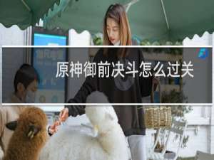 原神御前决斗怎么过关