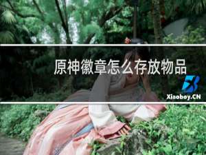 原神徽章怎么存放物品
