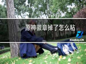 原神徽章掉了怎么粘