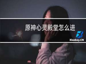 原神心灵殿堂怎么进