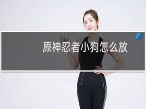 原神忍者小狗怎么放