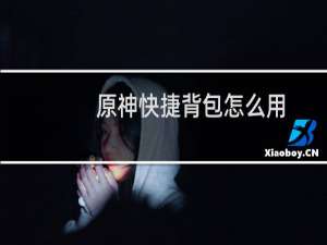 原神快捷背包怎么用