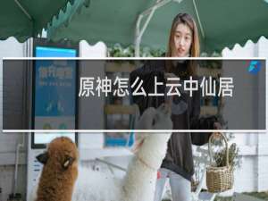 原神怎么上云中仙居