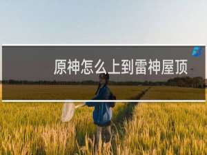 原神怎么上到雷神屋顶