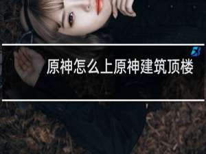 原神怎么上原神建筑顶楼