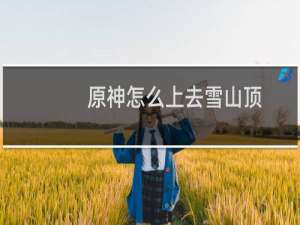 原神怎么上去雪山顶
