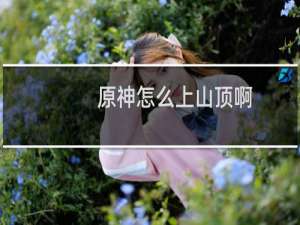 原神怎么上山顶啊