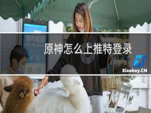 原神怎么上推特登录