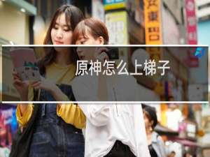 原神怎么上梯子