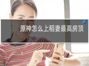 原神怎么上稻妻最高房顶