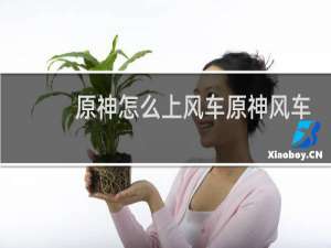 原神怎么上风车原神风车