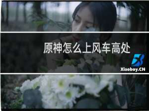 原神怎么上风车高处
