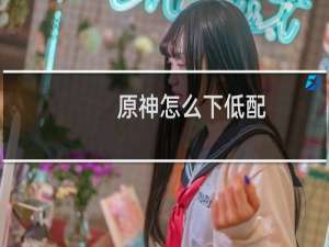 原神怎么下低配