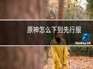 原神怎么下到先行服