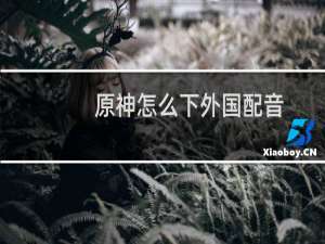 原神怎么下外国配音