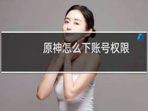 原神怎么下账号权限