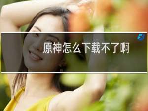 原神怎么下载不了啊