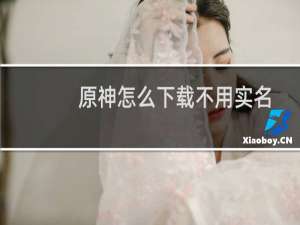 原神怎么下载不用实名