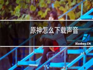 原神怎么下载声音