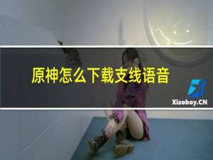 原神怎么下载支线语音