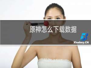 原神怎么下载数据
