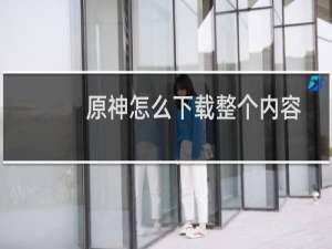 原神怎么下载整个内容