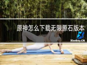 原神怎么下载无限原石版本