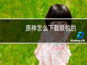 原神怎么下载联机的