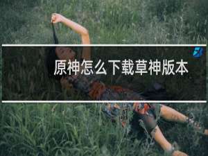 原神怎么下载草神版本