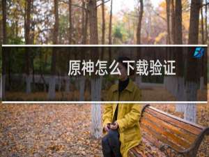 原神怎么下载验证