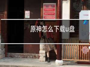 原神怎么下载u盘