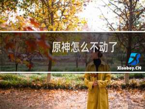原神怎么不动了