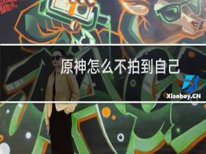 原神怎么不拍到自己