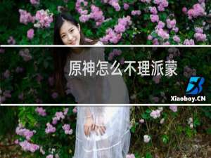 原神怎么不理派蒙