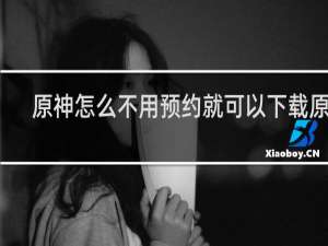 原神怎么不用预约就可以下载原神