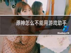 原神怎么不能用游戏助手