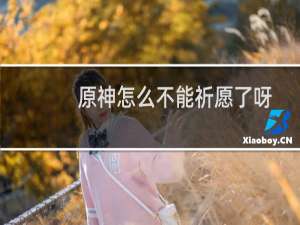 原神怎么不能祈愿了呀