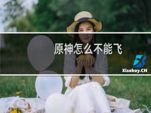 原神怎么不能飞