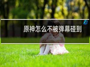 原神怎么不被弹幕碰到