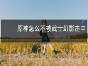 原神怎么不被武士幻影击中