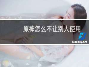原神怎么不让别人使用