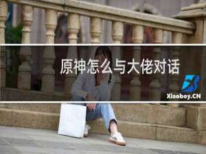 原神怎么与大佬对话