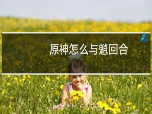 原神怎么与魈回合