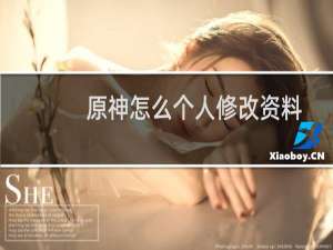 原神怎么个人修改资料