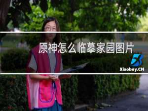 原神怎么临摹家园图片