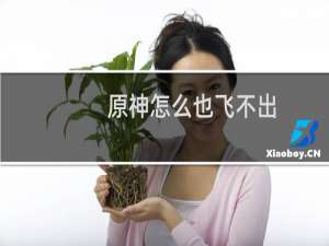 原神怎么也飞不出