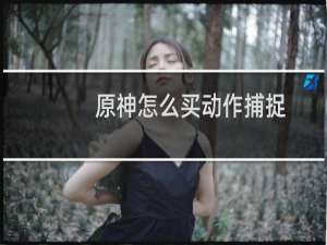 原神怎么买动作捕捉